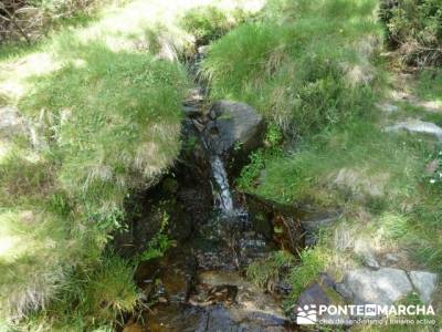 Ruta senderismo Peñalara - Parque Natural de Peñalara; 